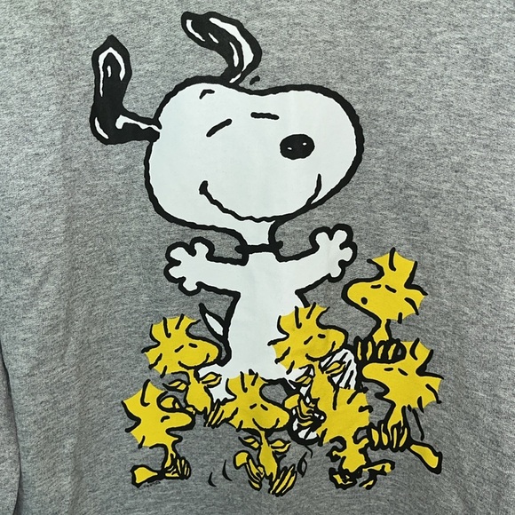 NWOT Peanuts Snoopy and Woodstock Dance Party Sweatshirt Gray Size S - Picture 3 of 6